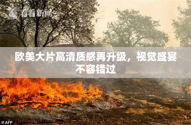欧美大片高清质感再升级，视觉盛宴不容错过