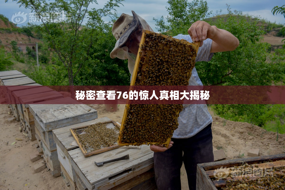 秘密查看76的惊人真相大揭秘