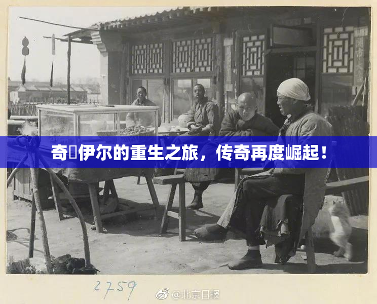 奇犽伊尔的重生之旅，传奇再度崛起！