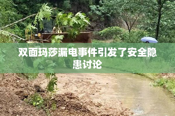 双面玛莎漏电事件引发了安全隐患讨论