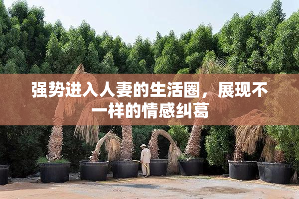 强势进入人妻的生活圈，展现不一样的情感纠葛