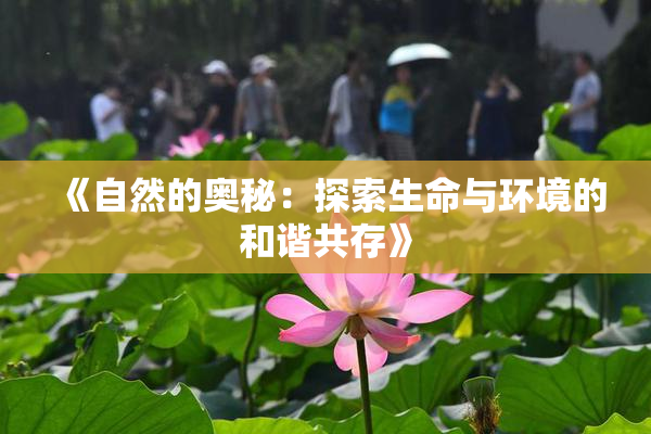 《自然的奥秘：探索生命与环境的和谐共存》