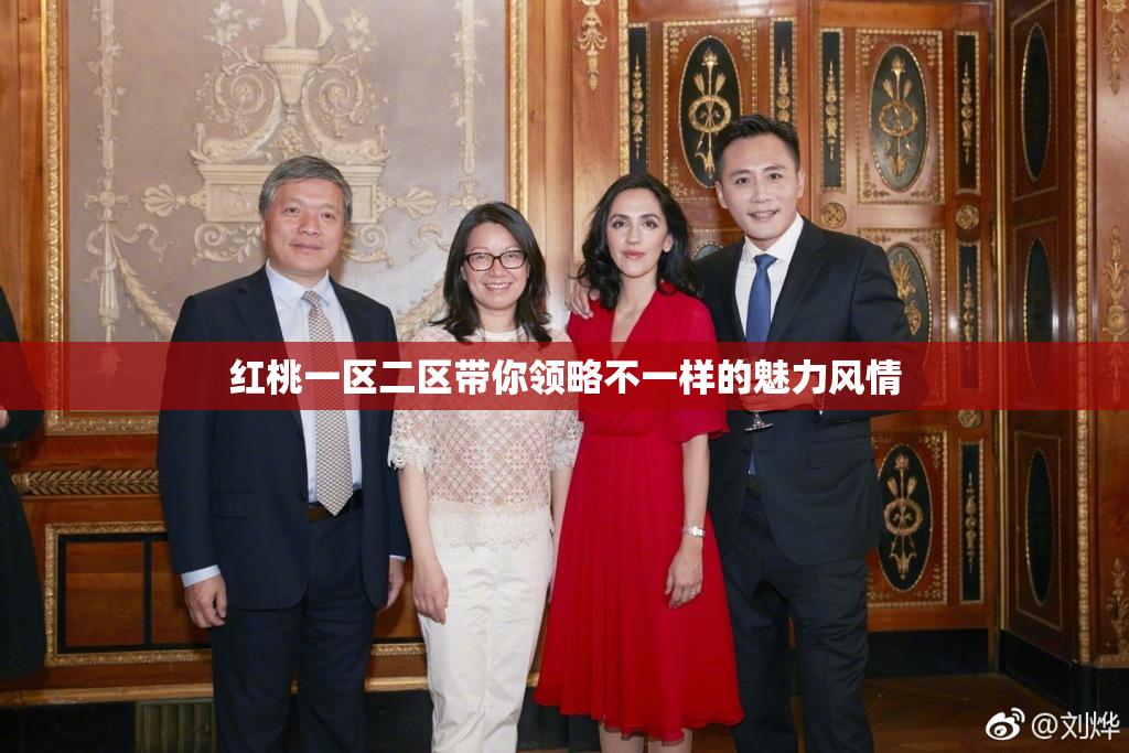 红桃一区二区带你领略不一样的魅力风情