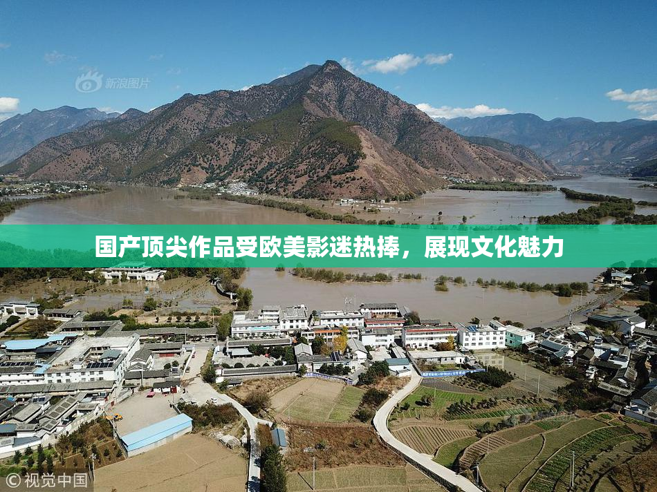 国产顶尖作品受欧美影迷热捧，展现文化魅力
