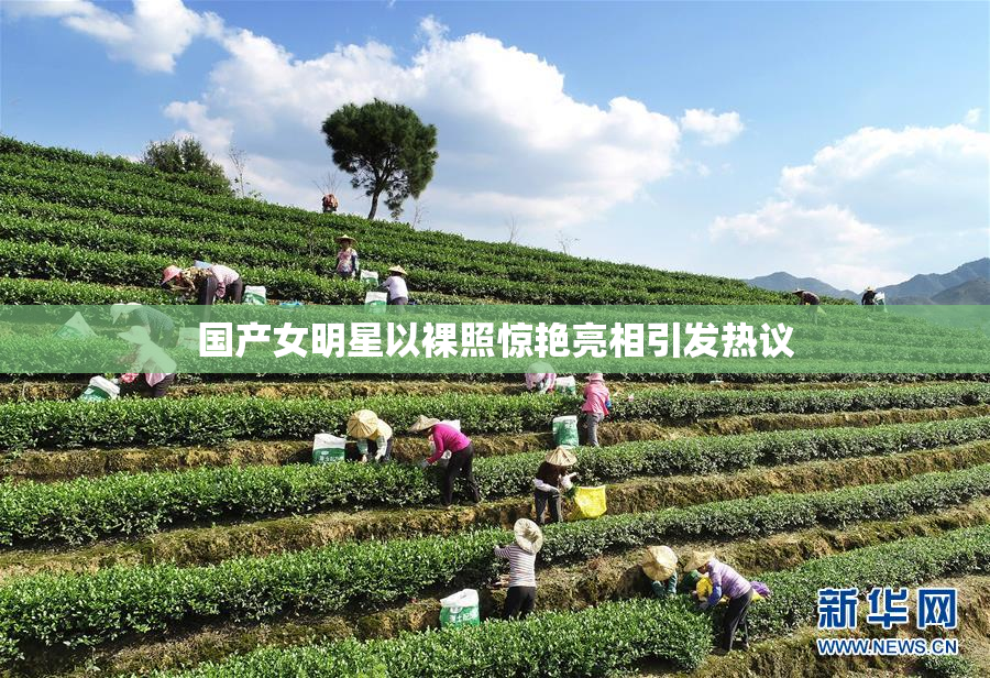 国产女明星以裸照惊艳亮相引发热议