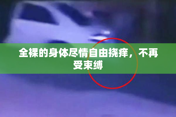 全裸的身体尽情自由挠痒，不再受束缚