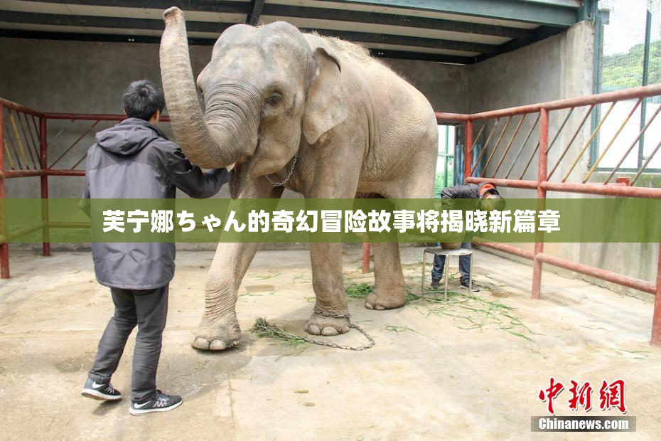 芙宁娜ちゃん的奇幻冒险故事将揭晓新篇章