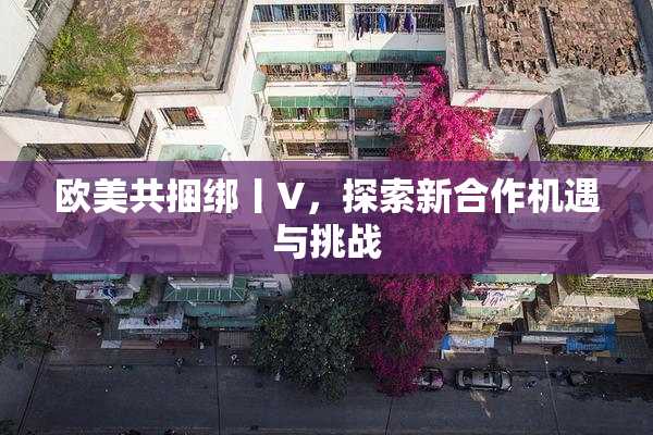 欧美共捆绑丨V，探索新合作机遇与挑战