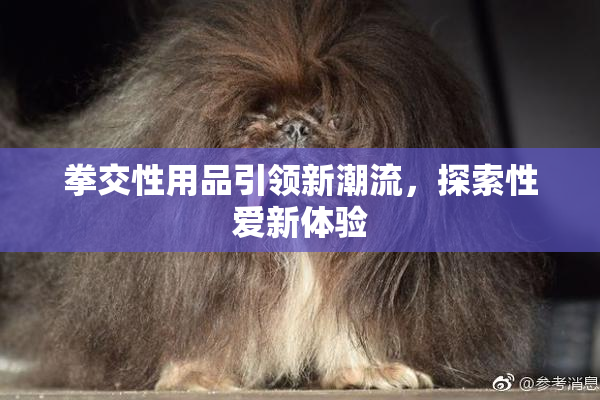 拳交性用品引领新潮流，探索性爱新体验