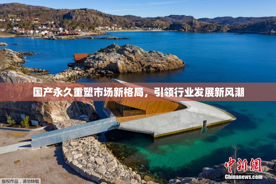 国产永久重塑市场新格局，引领行业发展新风潮