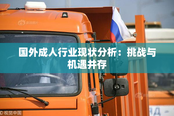 国外成人行业现状分析：挑战与机遇并存