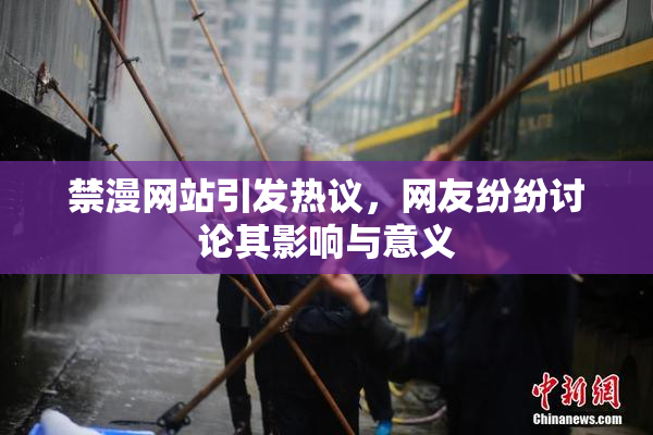 禁漫网站引发热议，网友纷纷讨论其影响与意义