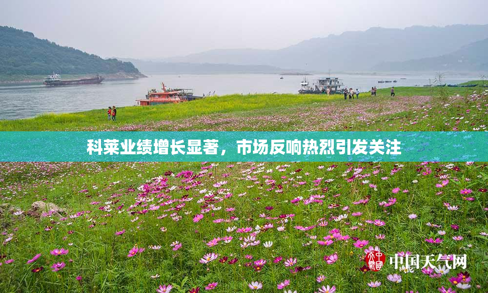科莱业绩增长显著，市场反响热烈引发关注