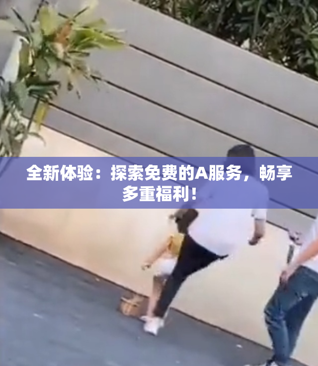 全新体验：探索免费的A服务，畅享多重福利！