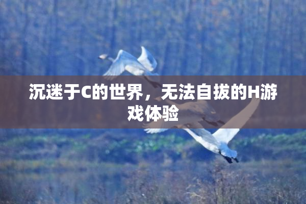 沉迷于C的世界，无法自拔的H游戏体验