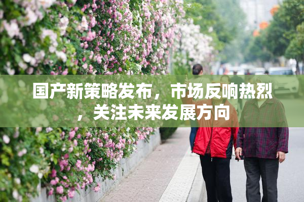 国产新策略发布，市场反响热烈，关注未来发展方向