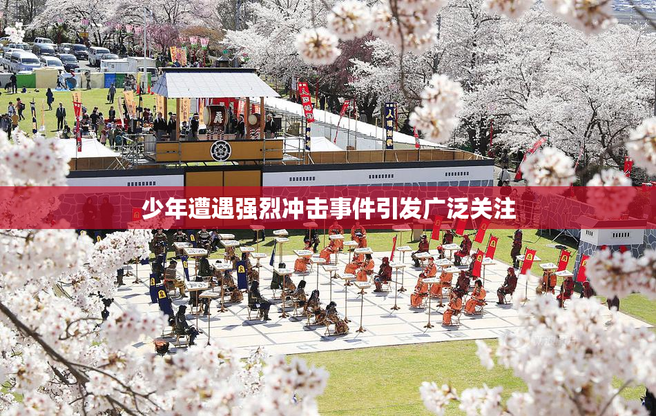 少年遭遇强烈冲击事件引发广泛关注