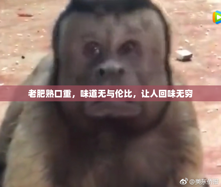 老肥熟口重，味道无与伦比，让人回味无穷