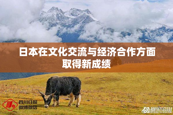 日本在文化交流与经济合作方面取得新成绩