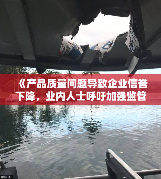 《产品质量问题导致企业信誉下降，业内人士呼吁加强监管》