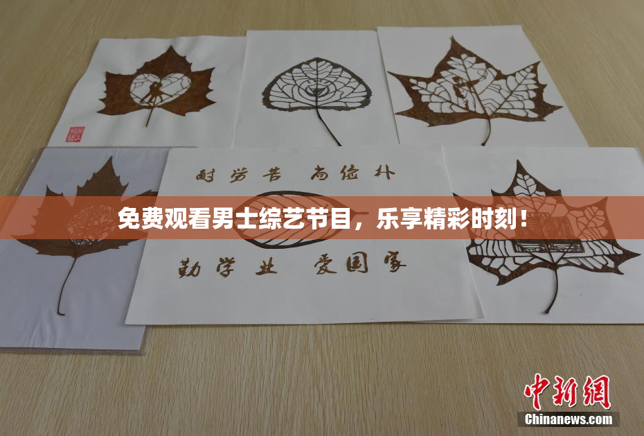 免费观看男士综艺节目，乐享精彩时刻！