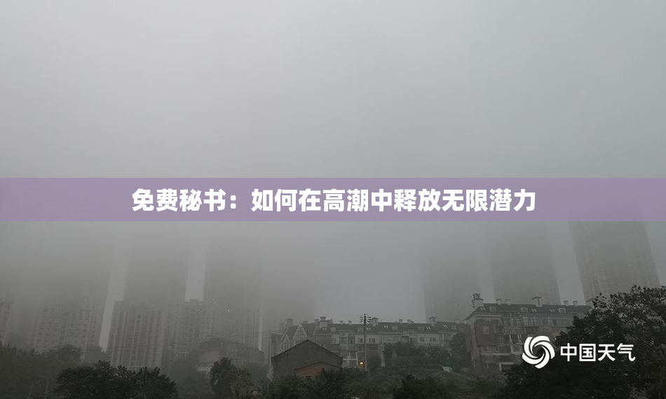免费秘书：如何在高潮中释放无限潜力