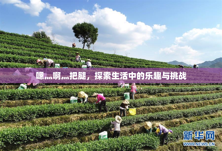 嗯灬啊灬把腿，探索生活中的乐趣与挑战
