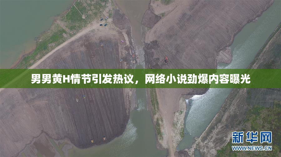男男黄H情节引发热议，网络小说劲爆内容曝光