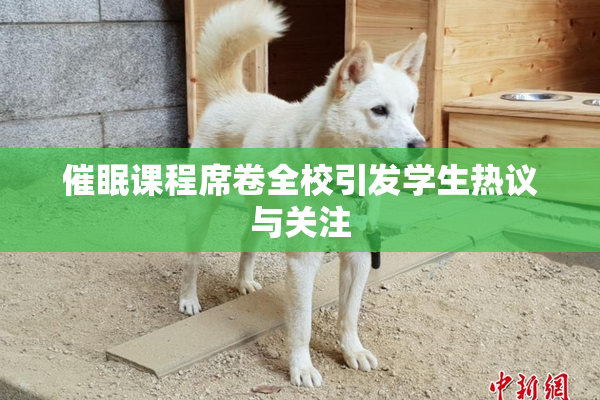 催眠课程席卷全校引发学生热议与关注