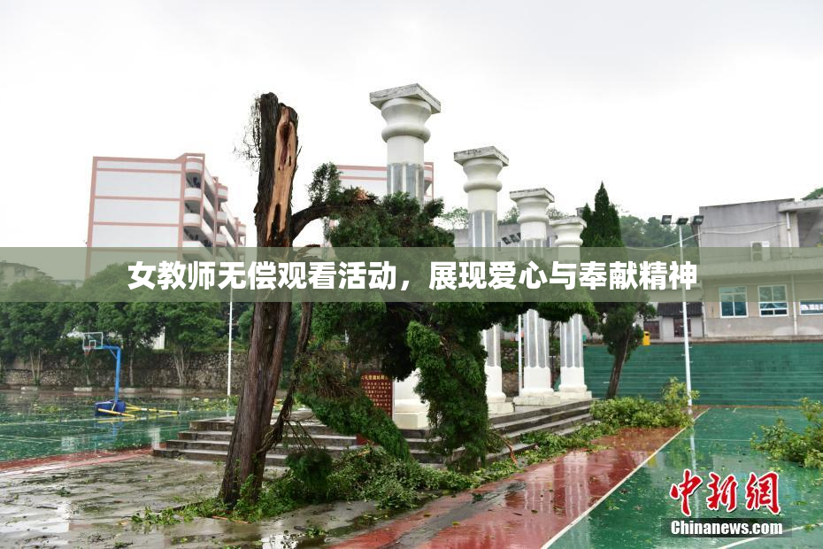 女教师无偿观看活动，展现爱心与奉献精神