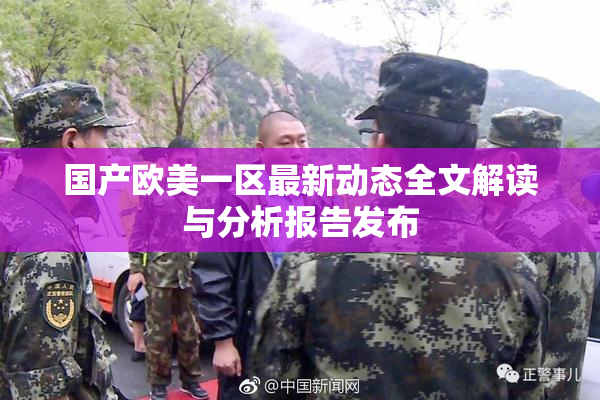 国产欧美一区最新动态全文解读与分析报告发布