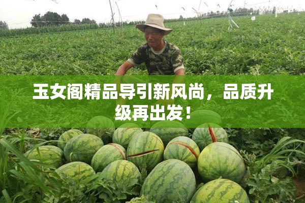 玉女阁精品导引新风尚，品质升级再出发！