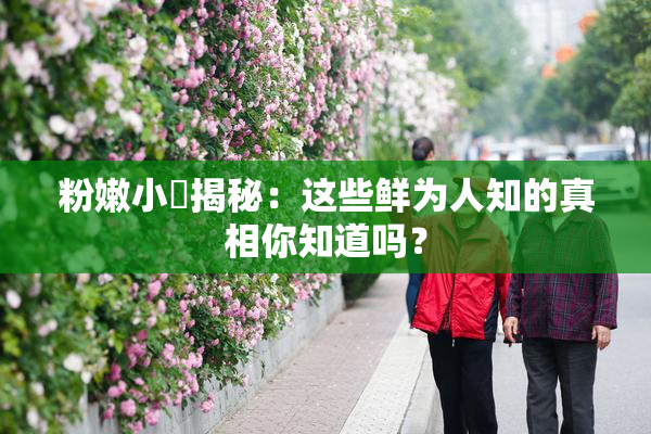 粉嫩小泬揭秘：这些鲜为人知的真相你知道吗？