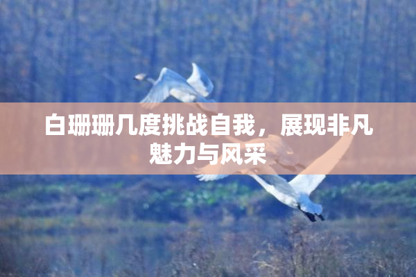 白珊珊几度挑战自我，展现非凡魅力与风采
