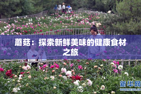 蘑菇：探索新鲜美味的健康食材之旅