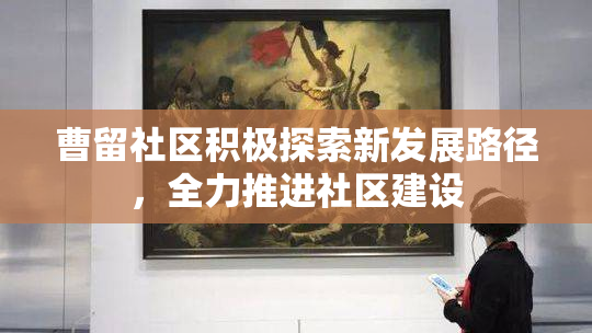 曹留社区积极探索新发展路径，全力推进社区建设