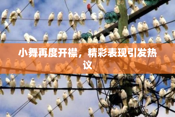 小舞再度开襟，精彩表现引发热议
