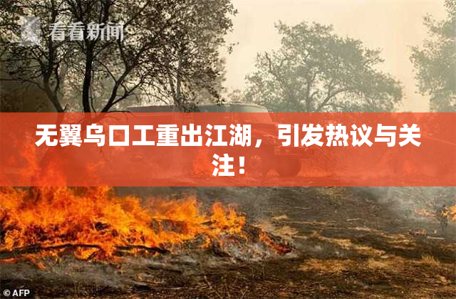 无翼乌口工重出江湖，引发热议与关注！