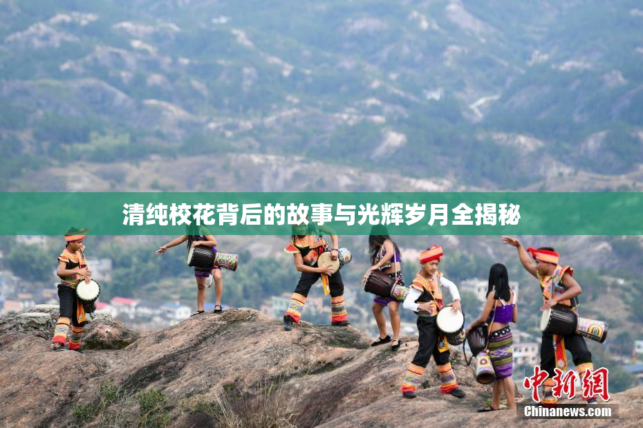 清纯校花背后的故事与光辉岁月全揭秘