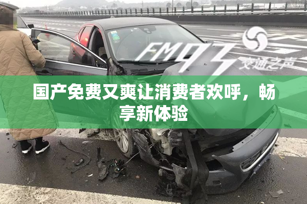 国产免费又爽让消费者欢呼，畅享新体验