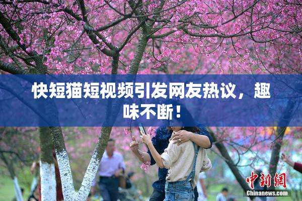 快短猫短视频引发网友热议，趣味不断！
