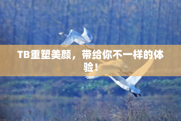 TB重塑美颜，带给你不一样的体验！