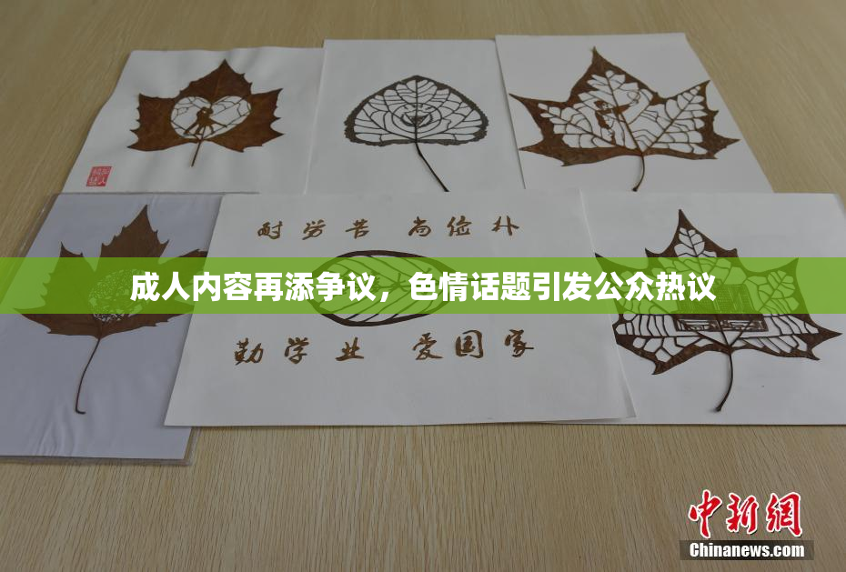 成人内容再添争议，色情话题引发公众热议