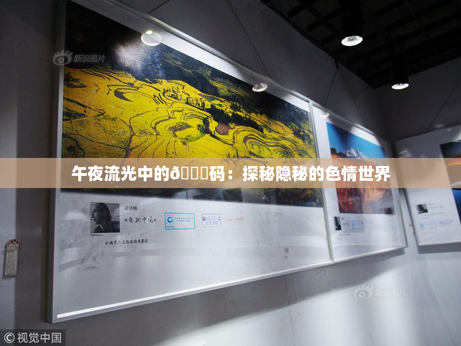 午夜流光中的🈚码：探秘隐秘的色情世界