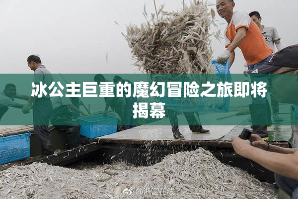 冰公主巨重的魔幻冒险之旅即将揭幕