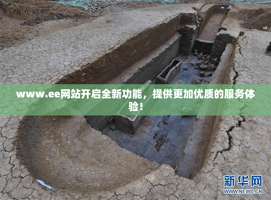 www.ee网站开启全新功能，提供更加优质的服务体验！