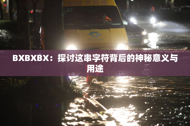 BXBXBX：探讨这串字符背后的神秘意义与用途