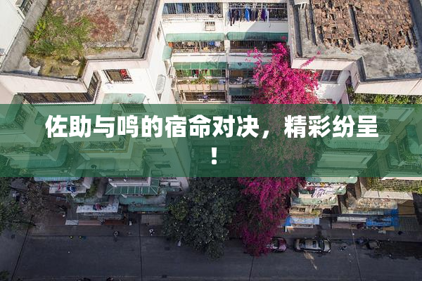 佐助与鸣的宿命对决，精彩纷呈！