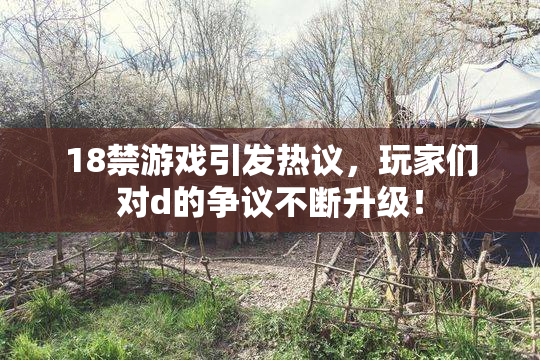 18禁游戏引发热议，玩家们对d的争议不断升级！