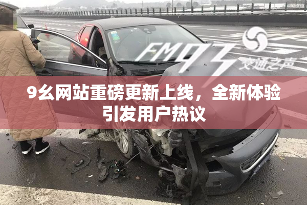 9幺网站重磅更新上线，全新体验引发用户热议